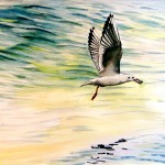 A Bird in Flight