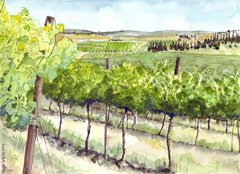 Jerusalem Hill Vineyard