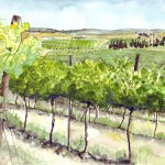 Jerusalem Hill Vineyard