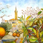 Orange Tree & John The Baptist Church