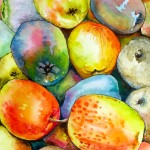 Coloured Apples